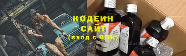 сатива Арсеньев