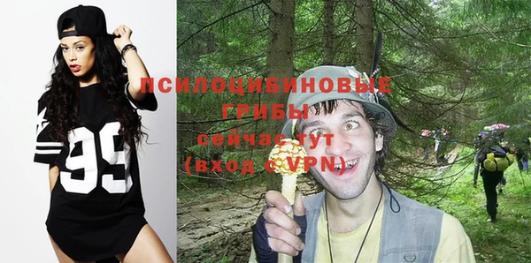 ECSTASY Армянск