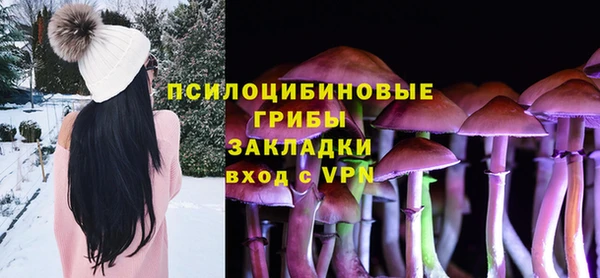 дживик Балахна