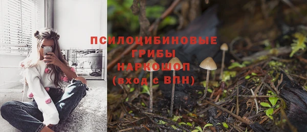 винт Баксан